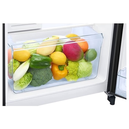 Samsung 192 Litre Single Door Refrigerator, Luxe Black, RR21A2J2YBX/HL, Curd Maestro 9 Samsung 192 Litre Single Door Refrigerator, Luxe Black, RR21A2J2YBX/HL, Curd Maestro