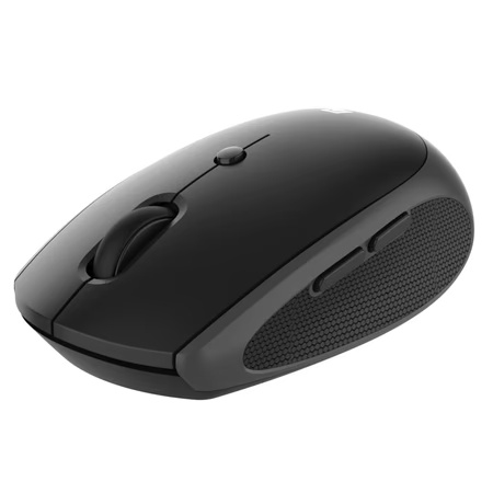 Portronics Toad 30 Wireless Mouse, Black