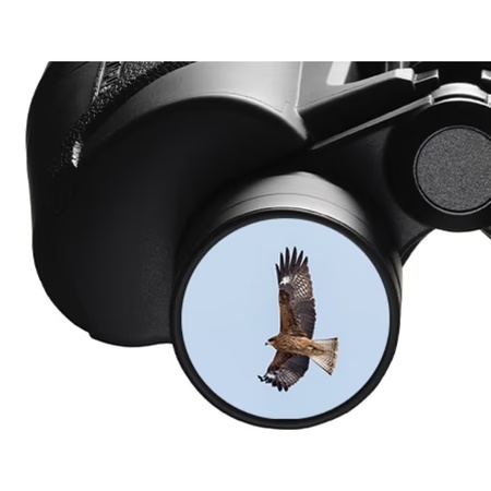 Olympus 8x40S Binoculars 5 Olympus 8x40S Binoculars