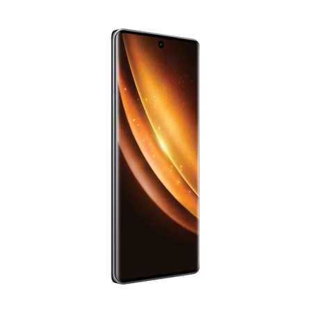 Vivo X100 5G 256 GB, 12 GB RAM, Black, Mobile Phone
