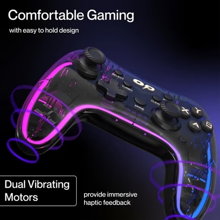 Ambrane OP-WLGC01 Wireless Gaming Controller, Black