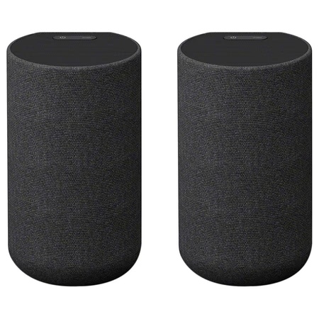 Sony SA-RS5 6.0 Channel Wireless Rear Speaker with Up to 10 hour of Battery Life, Black