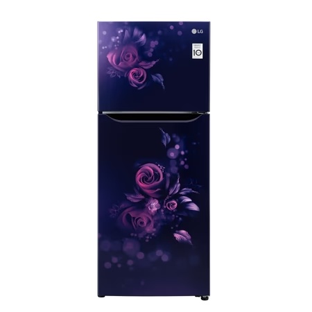LG 242 L 2 Star Frost-Free Double Door Refrigerator Blue Euphoria, GL-N292BBEY