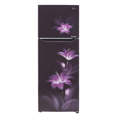 LG 284 litres 2 Star Double Door Refrigerator, Purple Glow GL-T302SPGY