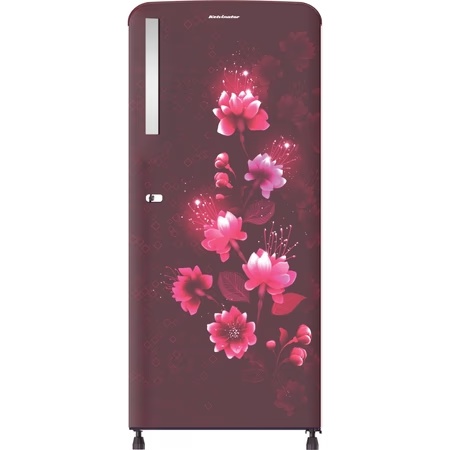 BPL 187 L 2 Star Direct Cool Single Door Refrigerator, BRD-F210EBPBGS, Inox
