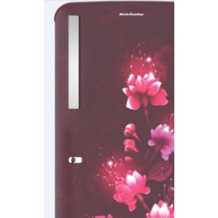 BPL 187 L 2 Star Direct Cool Single Door Refrigerator, BRD-F210EBPBGS, Inox