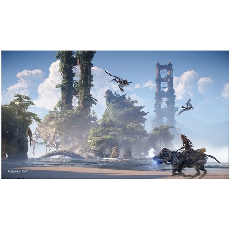 PS4 Horizon Forbidden West Std