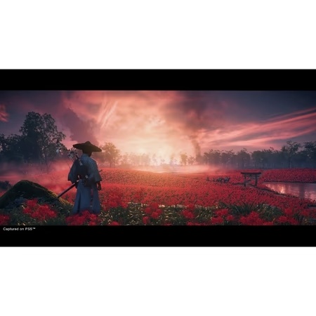Sony PS5 Ghost of Tsushima Director's Cut (Standard Edition) 4 Sony PS5 Ghost of Tsushima Director's Cut (Standard Edition)