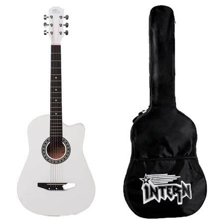 Intern INT-38C Acoustic Guitar, White