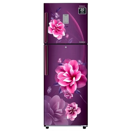 Samsung 236 litres 2 Star Double Door Refrigerator, Camellia Purple RT28C3922CR/HL